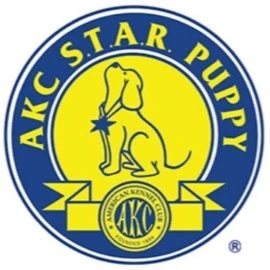 AKC STAR Puppy Certified